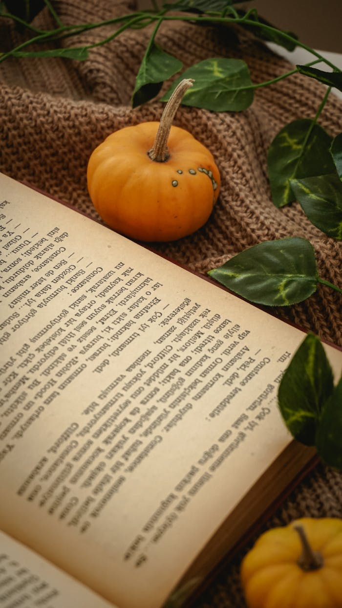 An inviting autumn scene featuring an open book and decorative pumpkins on a knit blanket.